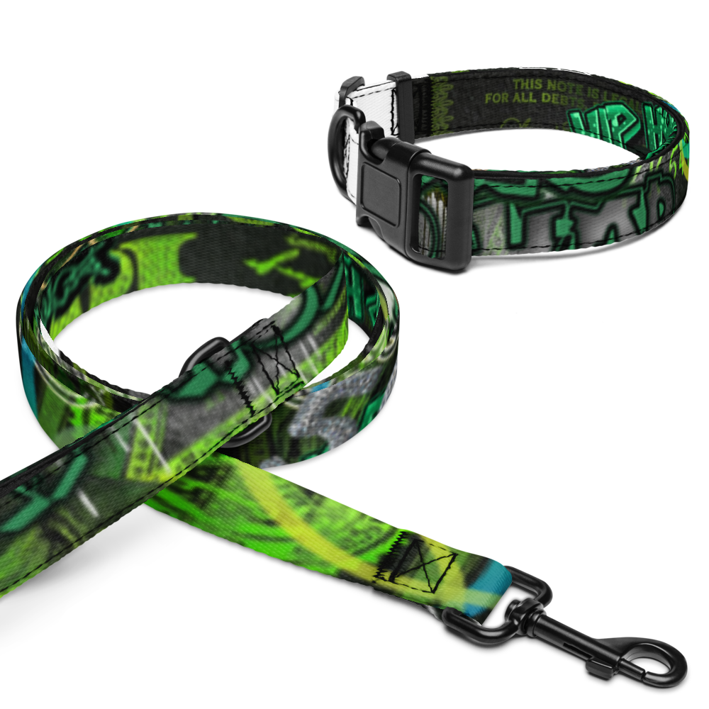 Pet collar & leash