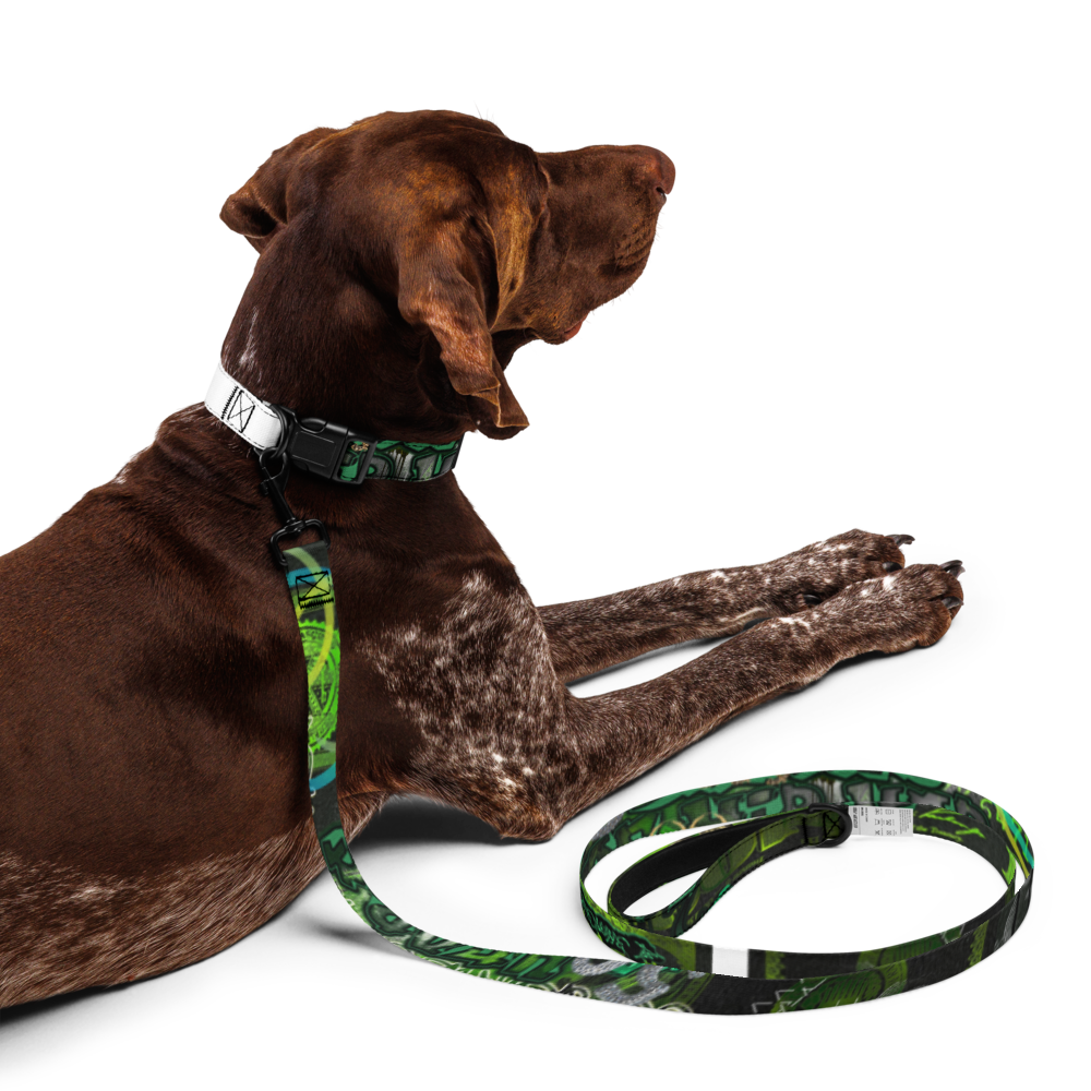 Pet collar & leash