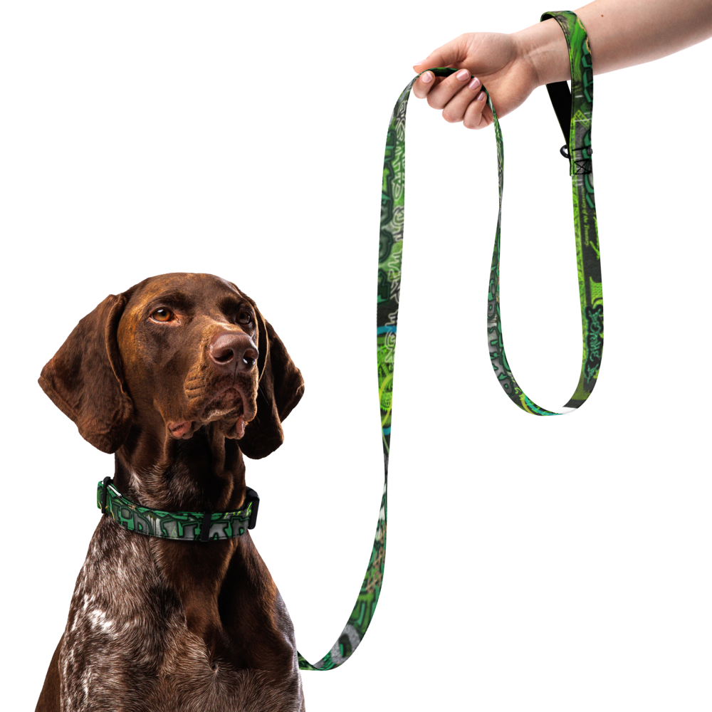 Pet collar & leash