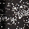 Conflict Diamonds image 1